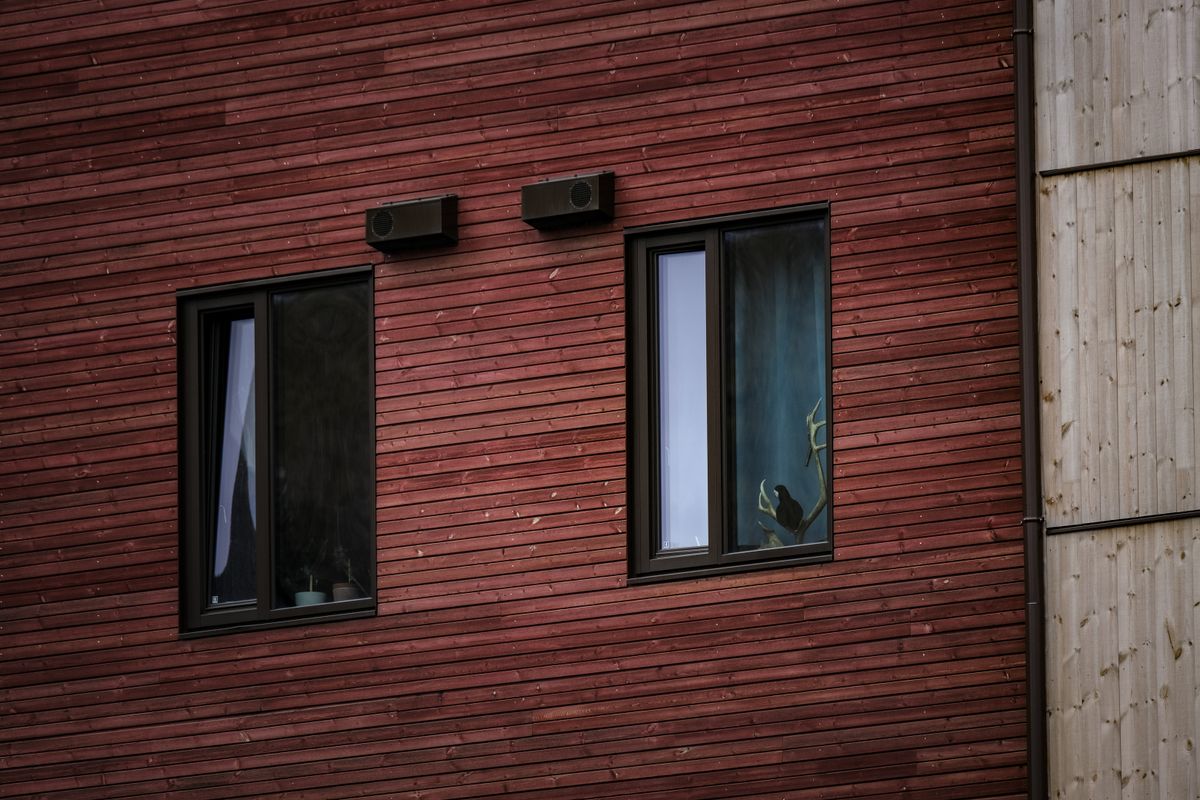Aluminium Windows