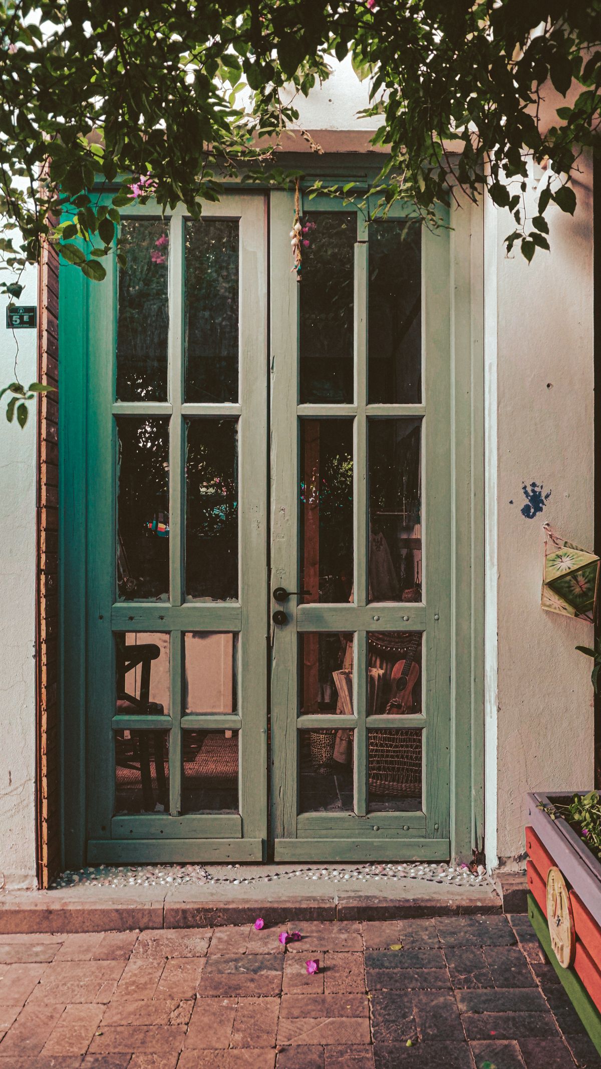 French & Patio Doors